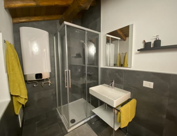 das-badezimmer-von-innen-im-apartment-casa-alba-in-livo-am-comer-see_2